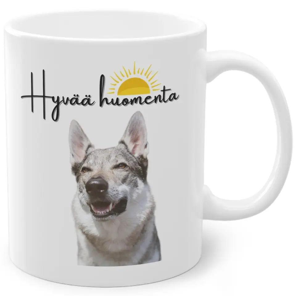 Kuva edestä