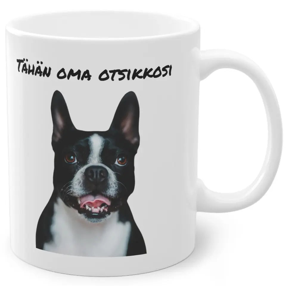 Kuva edestä