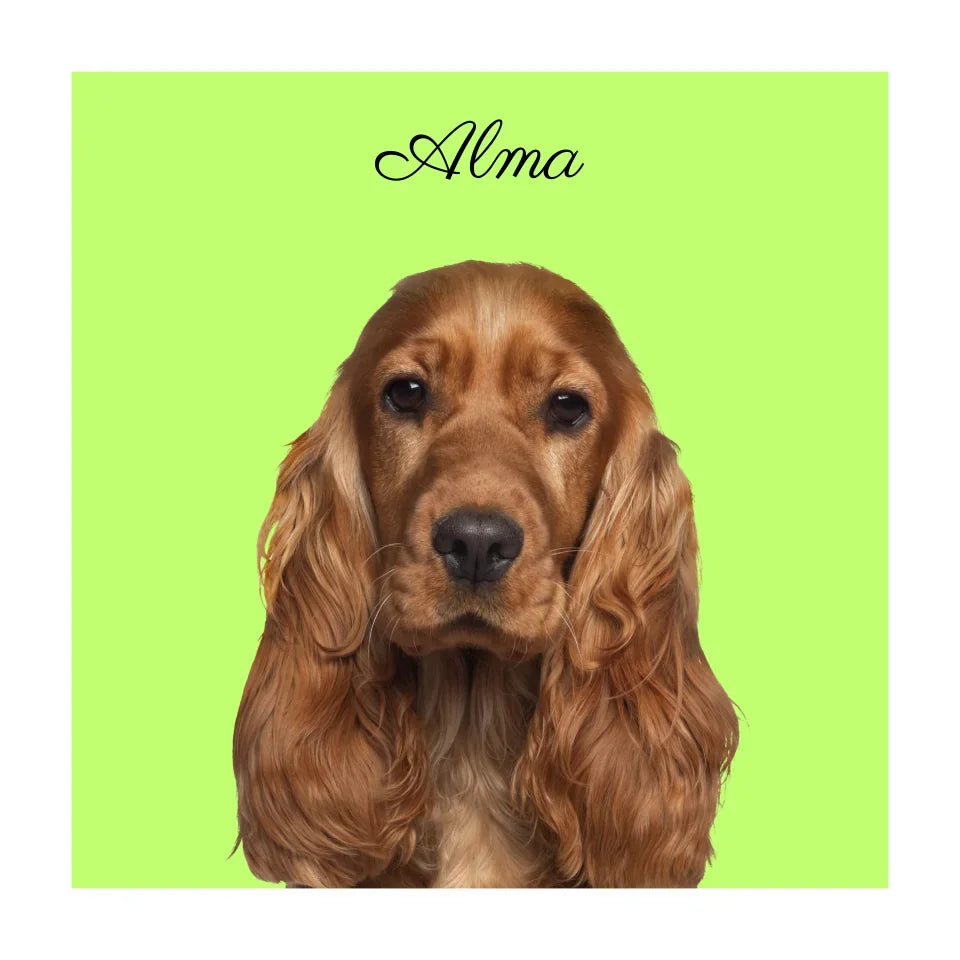 ALMA (1)