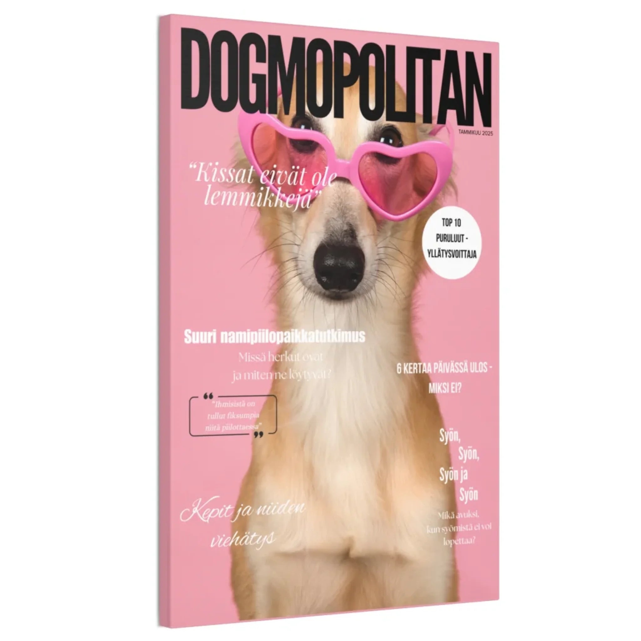 Dogmopolitan tuotekuvat