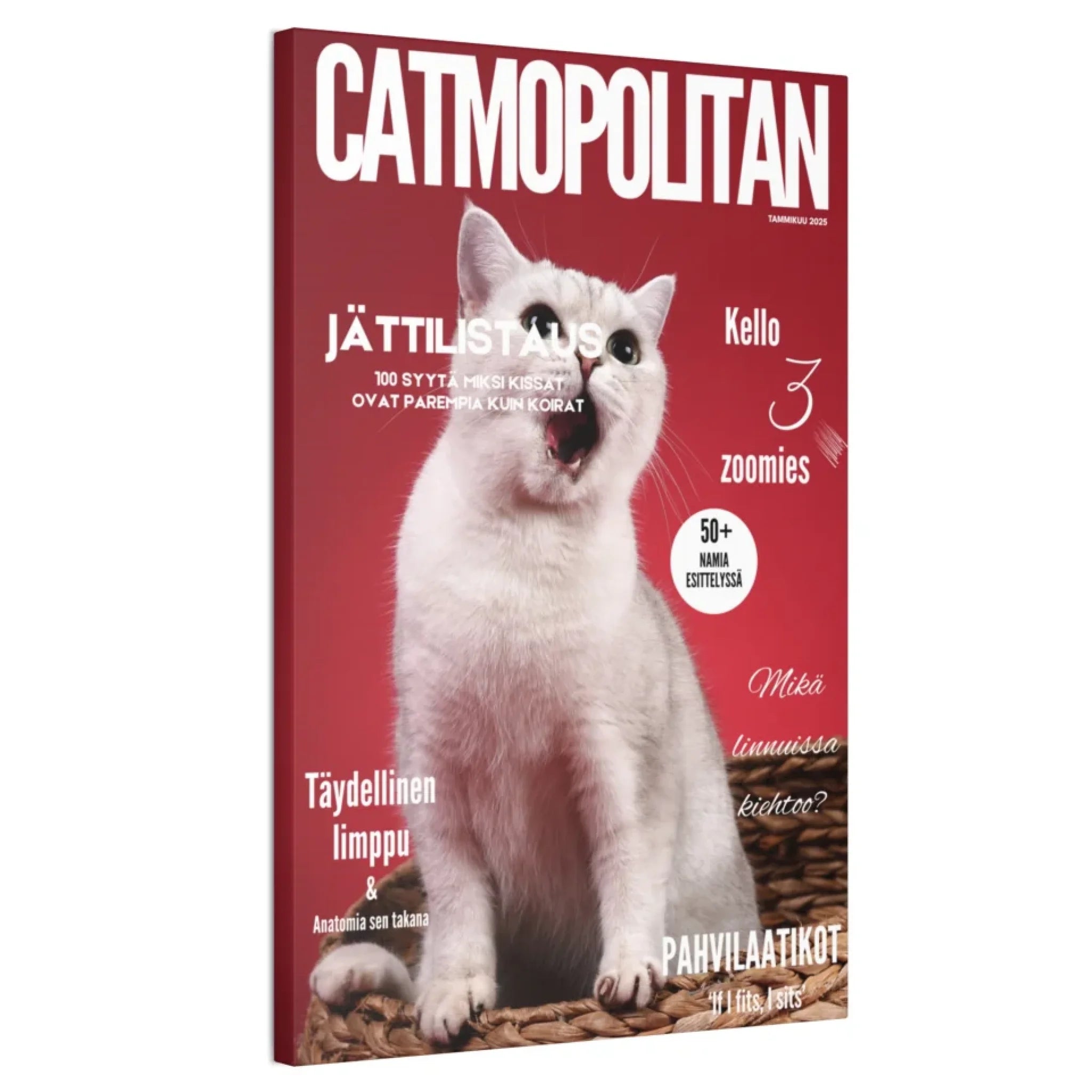 Catmopolitan tuotekuvat
