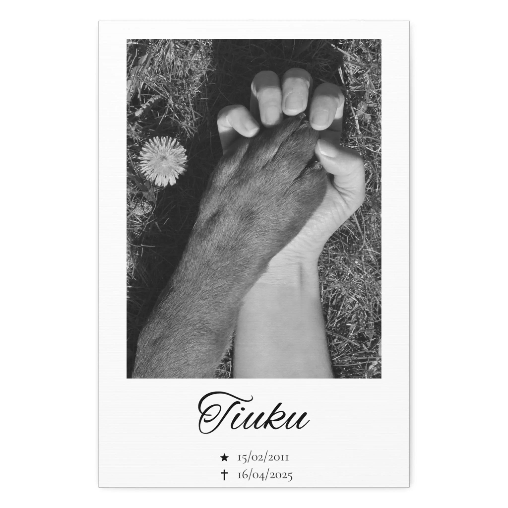 Muistokanvaasi kuvat