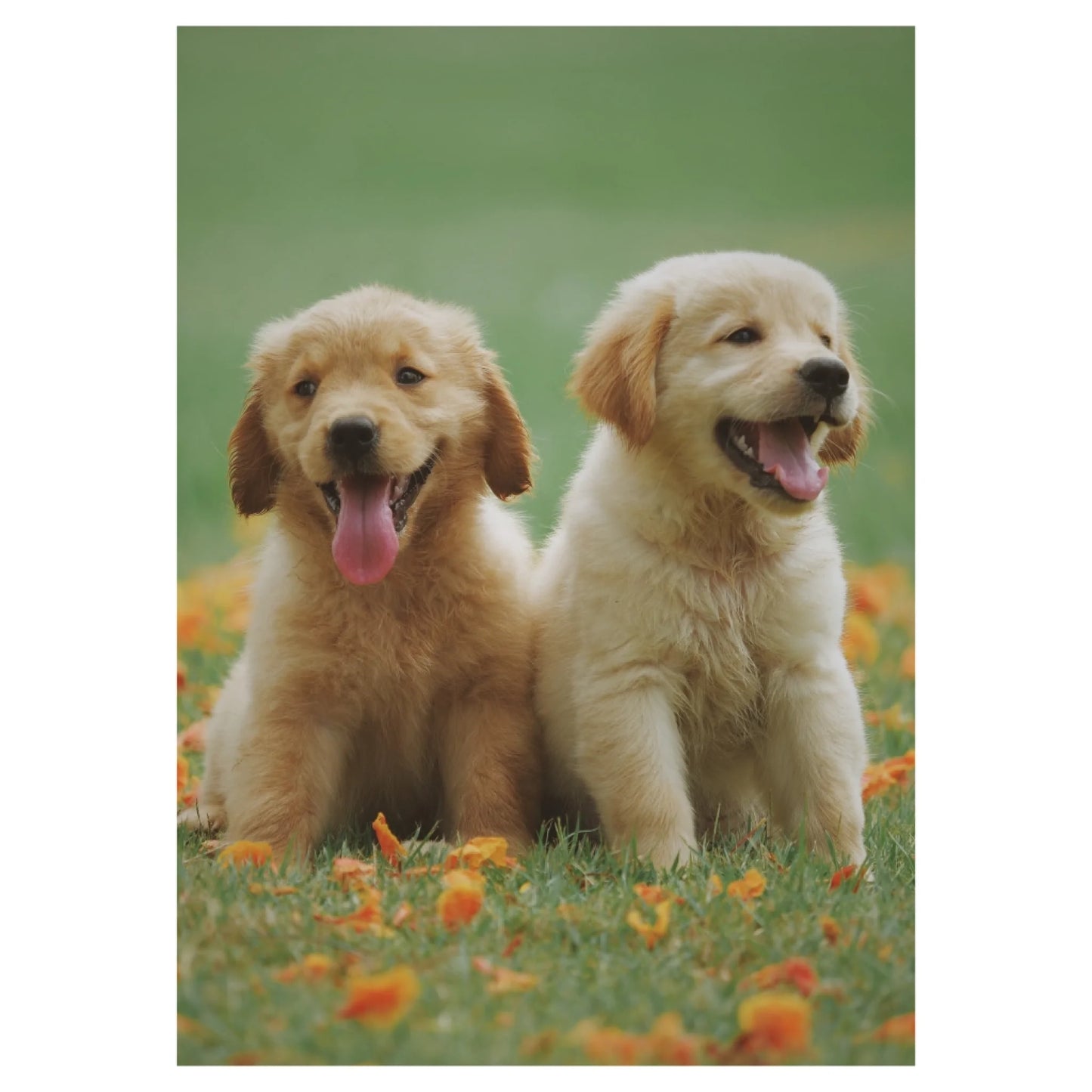 Oma juliste tuotekuva