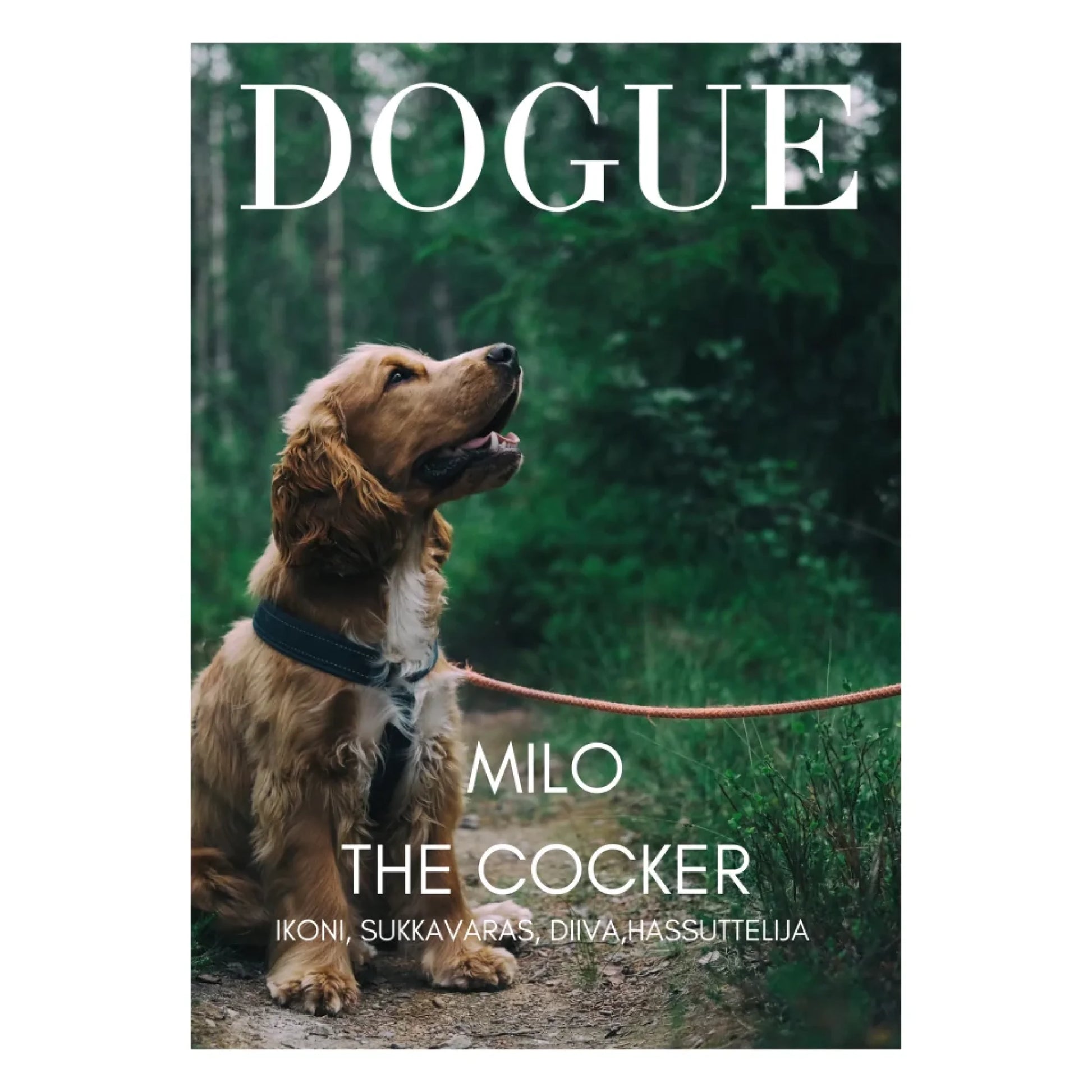 Dogue juliste tuotekuvat